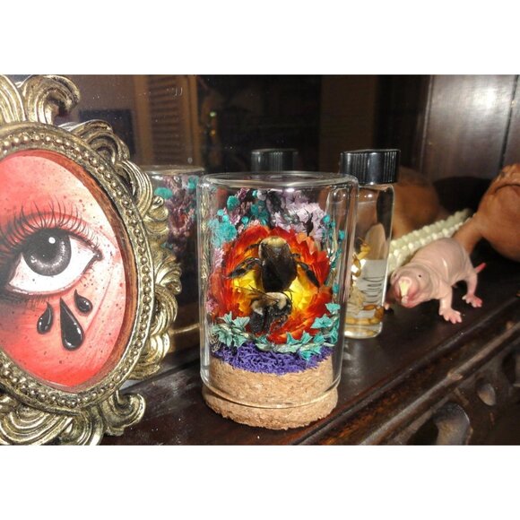 Carpenter Bee on Sunset Flower Oddity jar curiosity Dome insect taxidermy goth - Picture 4 of 16